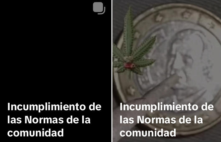 Sí, sí. Libertad de expresión… claaaaaro!!!